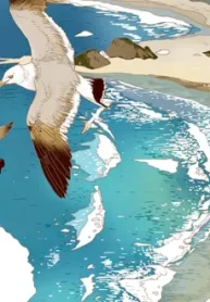 a-capacidade-de-calor-especifico-do-amor_178