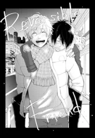 amigo-reversivel_178