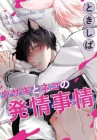 circunstancias-do-estro-de-coelhos-e-gatos_178