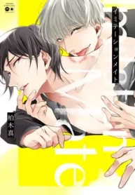 companheiro-de-imitacao_178