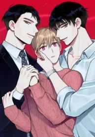 conexao-perfeita_178