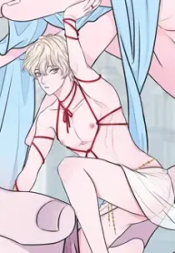 licoes-para-seu-animal-de-estimacao-humano_178